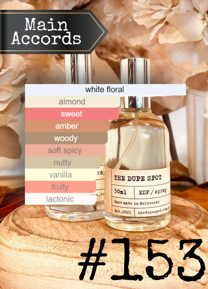 Bvlgari jasmin noir sales macy's